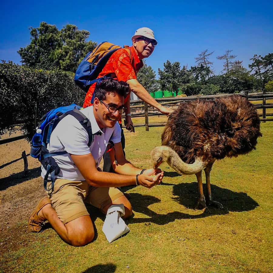 CAPE TOWN: OSTRICH RANCH QUAD BIKE RIDE & OSTRICH TOUR - The views: Cape Winelands and Table Mountain in practical terms