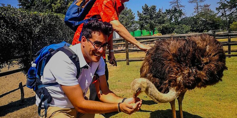 CAPE TOWN: OSTRICH RANCH QUAD BIKE RIDE & OSTRICH TOUR - Food, photos, and the on-site extras you might enjoy