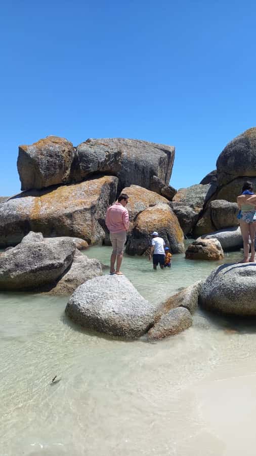 Cape Town: Penguin Watching at Boulders Beach Half Day Tour - Key points to know before you go