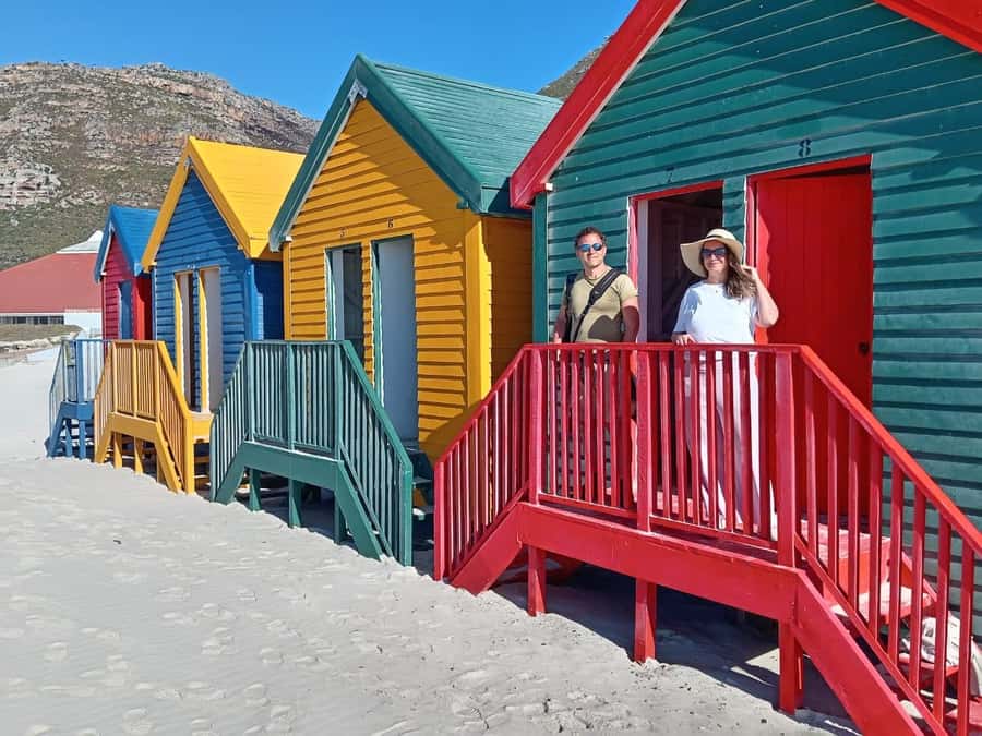 Cape Town: Penguin Watching at Boulders Beach Half Day Tour - Boulders Penguin Colony, 90 minutes where you watch and maybe swim