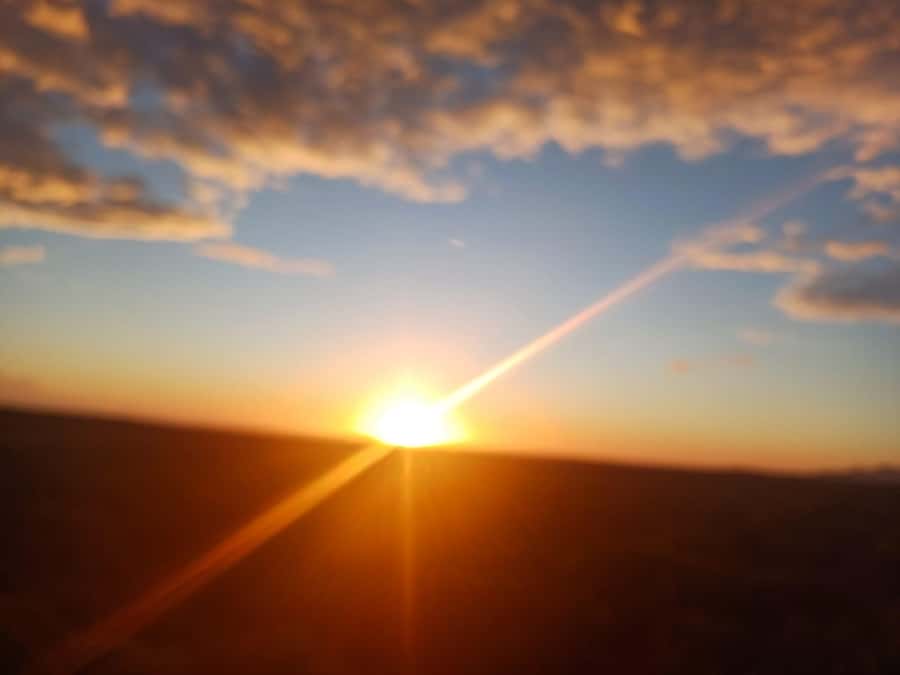 Cape Town: Penguins and Cape of Good Hope Sunset Tour - Key highlights that make this tour worth your time