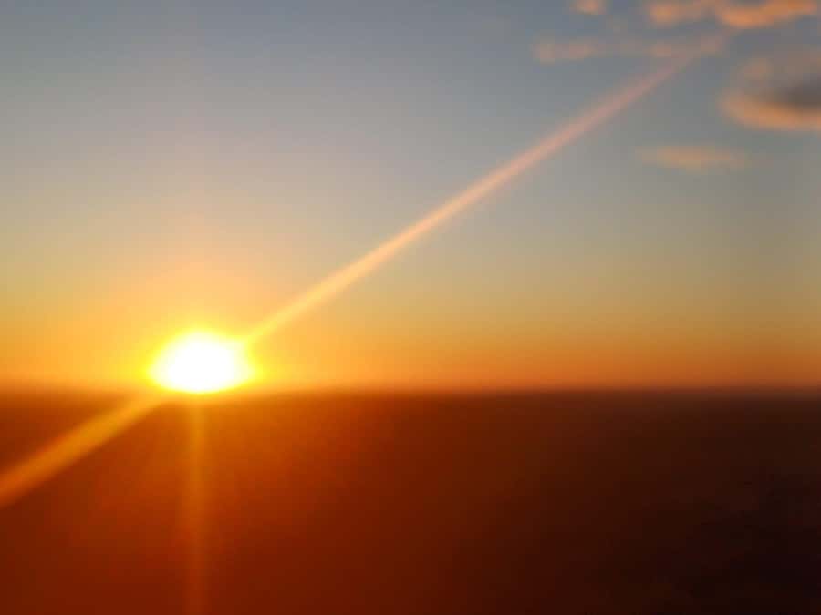 Cape Town: Penguins and Cape of Good Hope Sunset Tour - Why this half-day hits the sweet spot