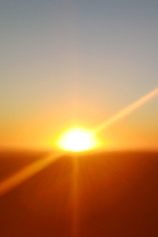 Cape Town: Penguins and Cape of Good Hope Sunset Tour - Cape of Good Hope and Cape Point: where the wind does the talking
