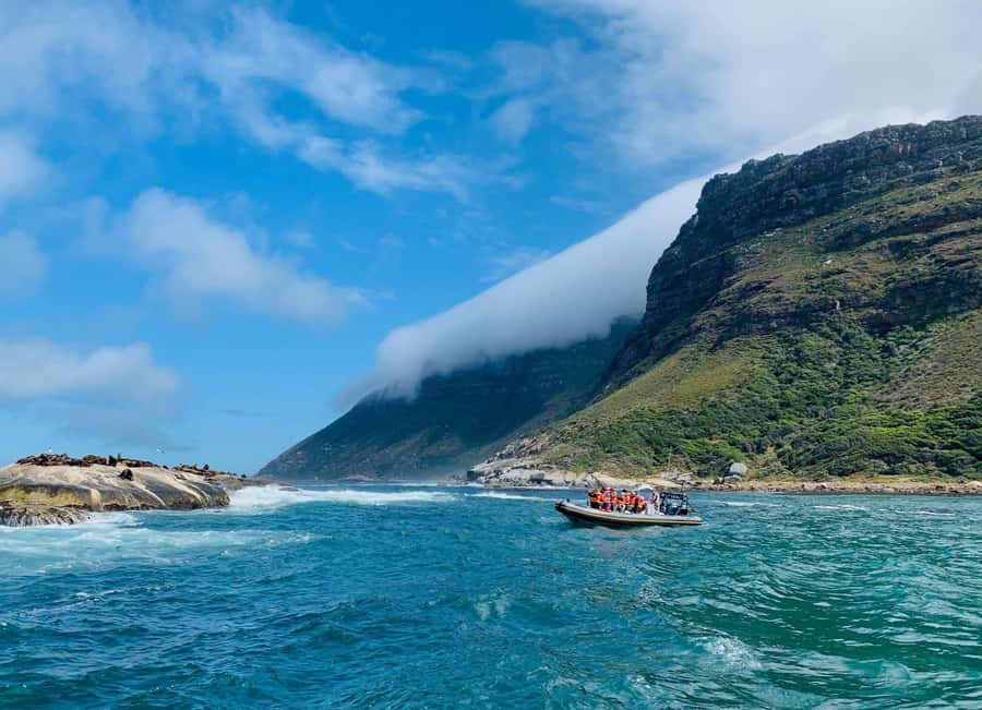 Cape Town: Penguins & Cape of Good Hope Day Tour with Pickup - Key points that matter