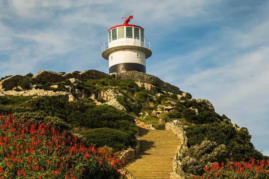 Cape Town: Penguins & Cape of Good Hope Day Tour with Pickup - Cape Point Nature Reserve and New Cape Point Lighthouse, where the views get serious