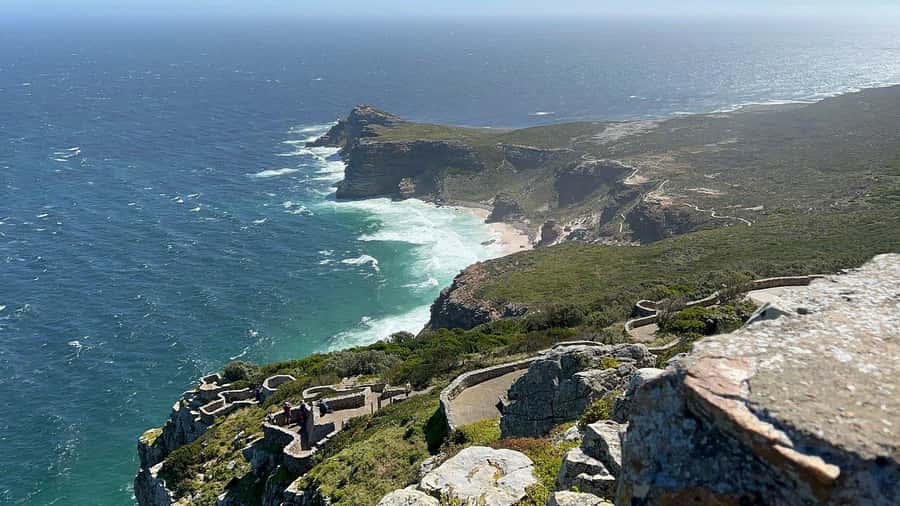 Cape Town: Penguins & Cape of Good Hope Day Tour with Pickup - What the guides and drivers add, beyond the route on paper