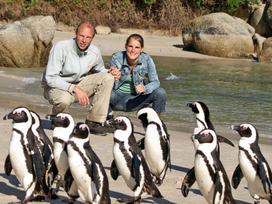 Cape Town: Penguins & Cape of Good Hope Half Day Shared Tour - Key things you should know