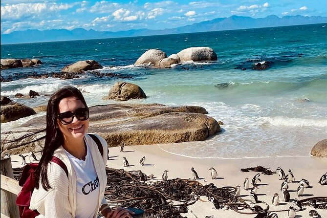 Cape Town Peninsula and Penguins Private Sightseeing Tour - Seal Island Option: Boat Ride and Weather Reality