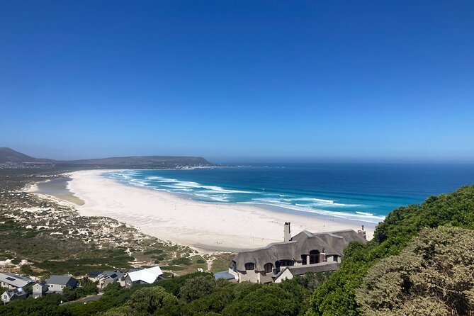 Cape Town: Peninsula, Cape of Good Hope and Penguins Tour - Who this tour fits best