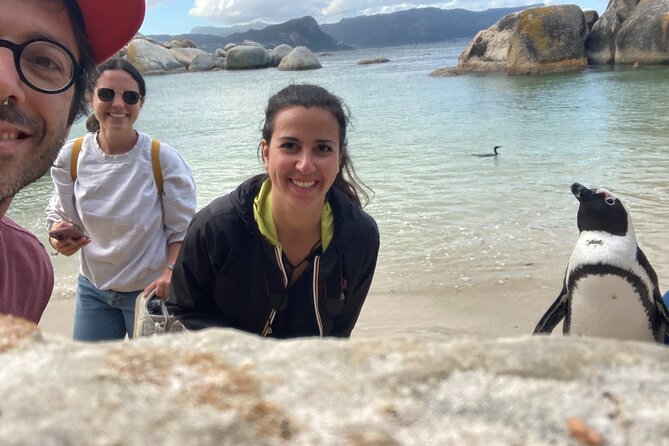 Cape Town: Peninsula, Cape of Good Hope and Penguins Tour - Should you book this Cape Peninsula and Penguins tour?