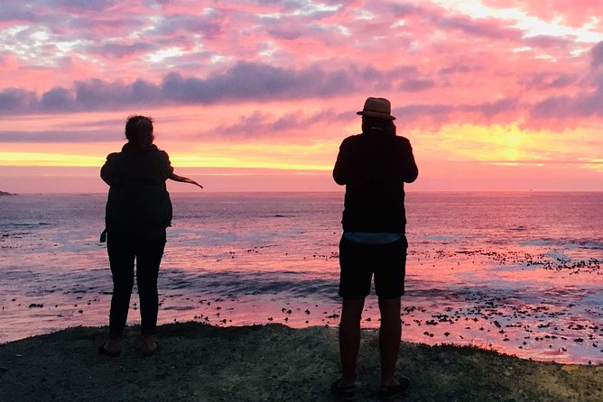 Cape Town Peninsula Day Tour ( Cape Point/Boulders/Wine Tasting) - Why the 8:30 am Church Street start is part of the value