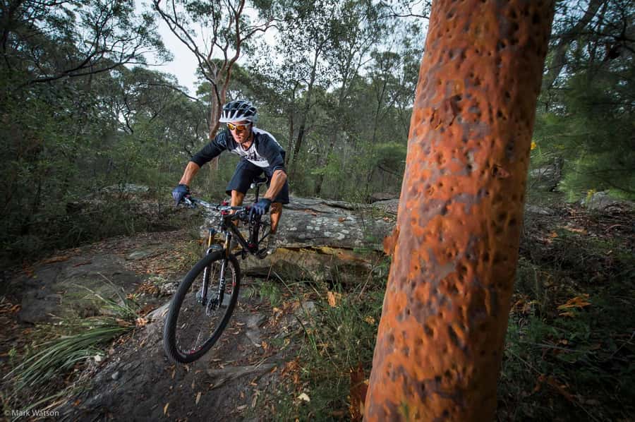 Cape Town: Peninsula Private Mountain Bike Tour with Ex-Pro - A private 3-hour MTB hit on the Southern Peninsula