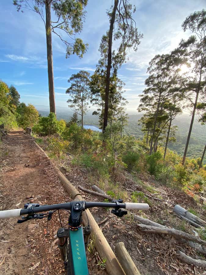 Cape Town: Peninsula Private Mountain Bike Tour with Ex-Pro - Who should book this and who should skip it
