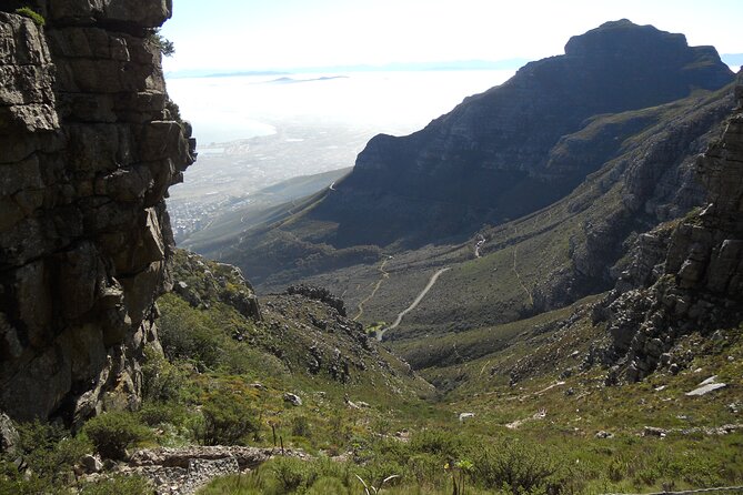 Cape Town: Platteklip Gorge Half-Day Hike on Table Mountain - Value check: is $80.81 worth it for this hike?