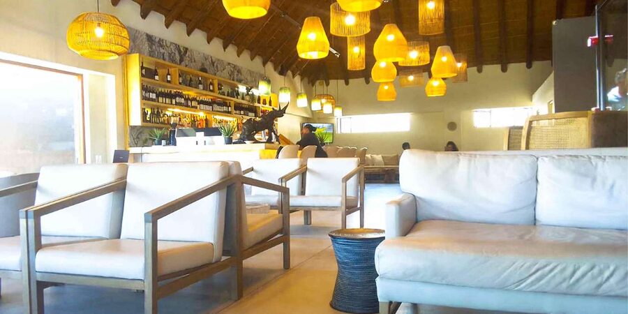 Cape Town: Private Aquila Reserve Safari with Winery Lunch - Lodge Buffet Lunch, Plus Break Stops That Matter More Than You Think