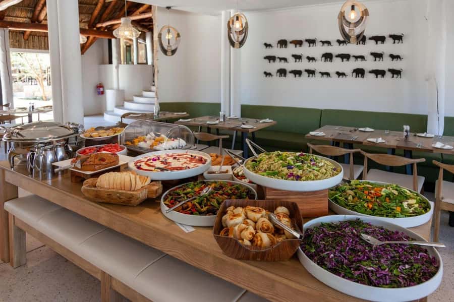 Cape town: Private Full-day Big 5 Aquila Game Reserve Tour - Lunch at the lodge: a buffet that keeps the day simple