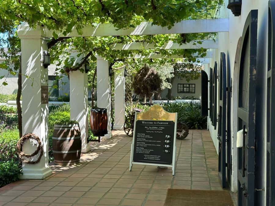 Cape town: Private Full-day Big 5 Aquila Game Reserve Tour - What’s included, and what you should budget for separately