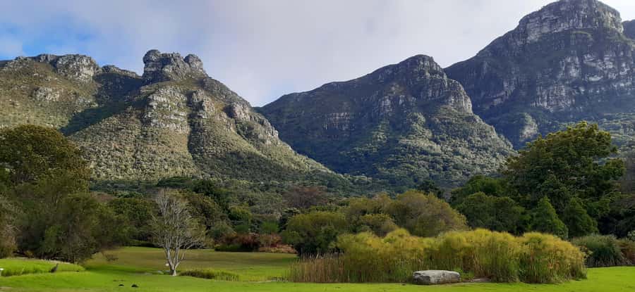 Cape Town: Private Full Day City & Winelands Tour - The Guide Experience: Flexibility, Patience, and Clear Explanations