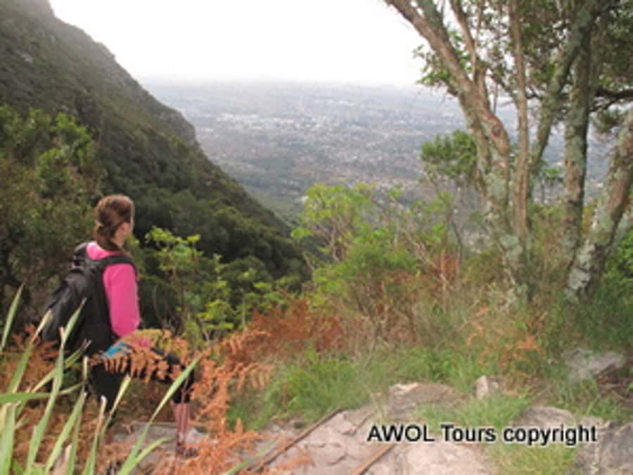 Cape Town Private Guided Table Mountain Hikes - The 6-hour itinerary, step by step, and what each part is really for