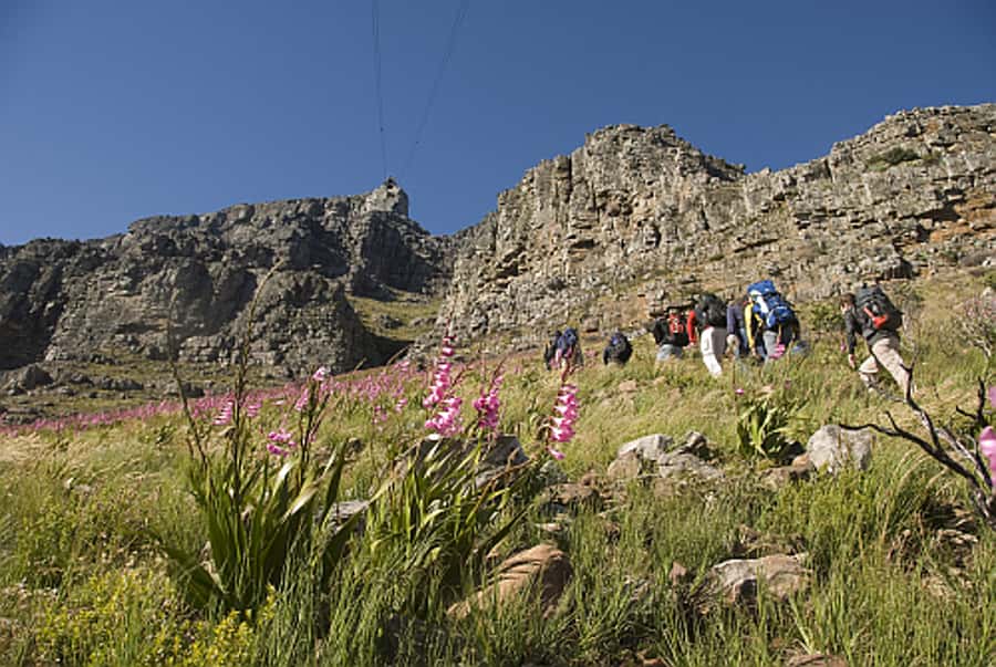 Cape Town Private Guided Table Mountain Hikes - Weather and wind: the reality check you should plan for