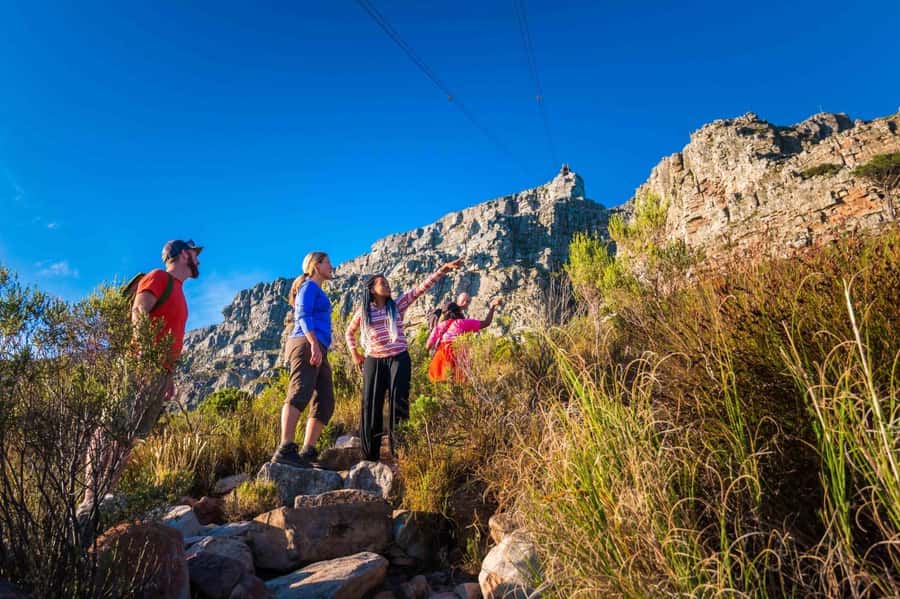 Cape Town Private Guided Table Mountain Hikes - How AWOL builds your route around fitness and Cape weather
