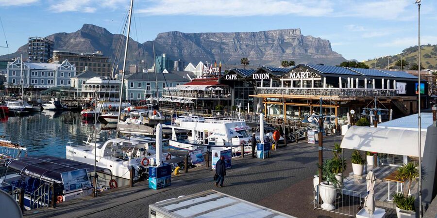 Cape Town: Private Half Day City Tour - Your Guide and the Private Format: The Real Difference