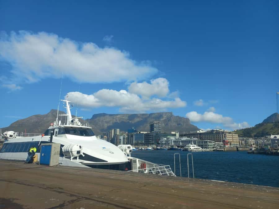 Cape Town: Private Robben Island Half-Day Tour with Pickup - The long trek to freedom: expect walking and keep your energy steady