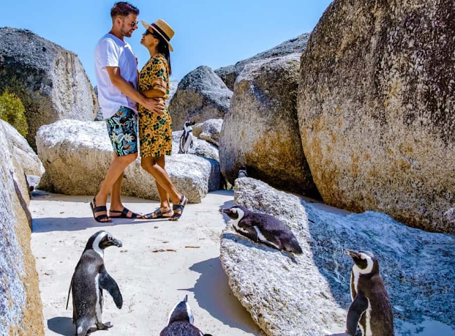 Cape Town Private Tour to Cape Of Good Hope and the Penguins - Bo-Kaap and City Stops: Colorful Houses With Real Context