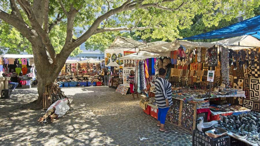 Cape Town Private Tour with a Local Highlights & Hidden Gems - Quick Takeaways