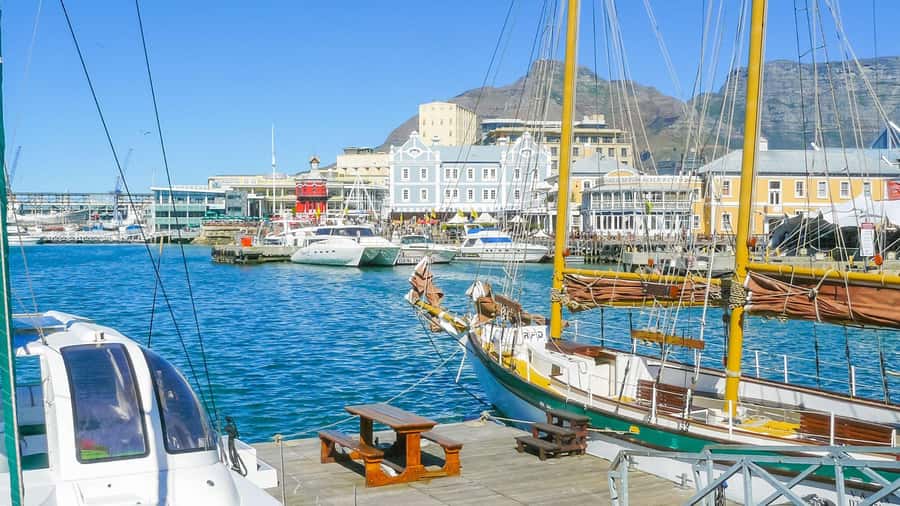 Cape Town Private Tour with a Local Highlights & Hidden Gems - Company’s Garden: A Reset Button in the Middle of the City