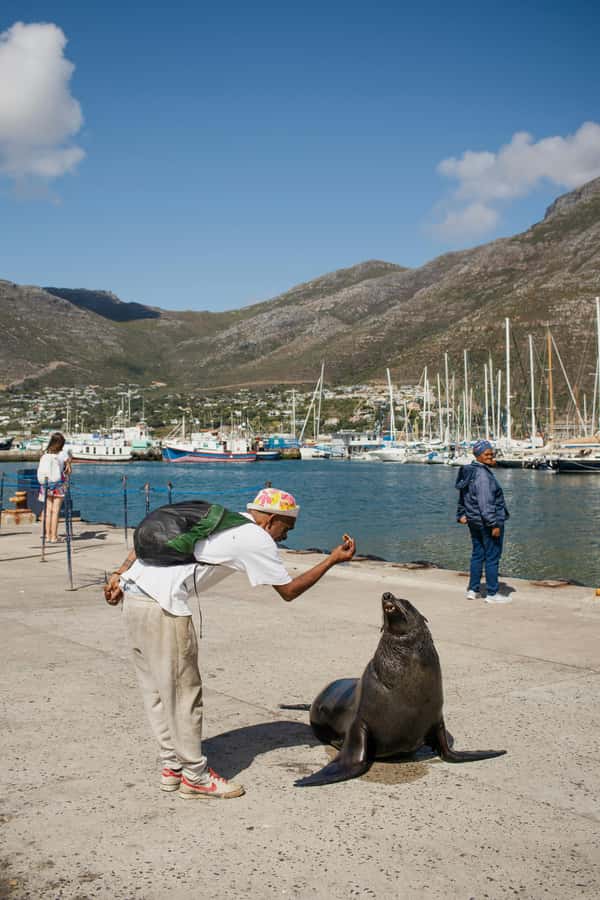 Cape Town: Private Tour with Customizable Itinerary - Price and Value: What $258 per Group Really Buys You