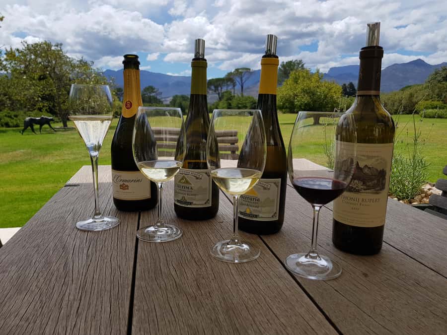 Cape Town: Private Wine Tour - Constantia makes the perfect first wine day near Cape Town