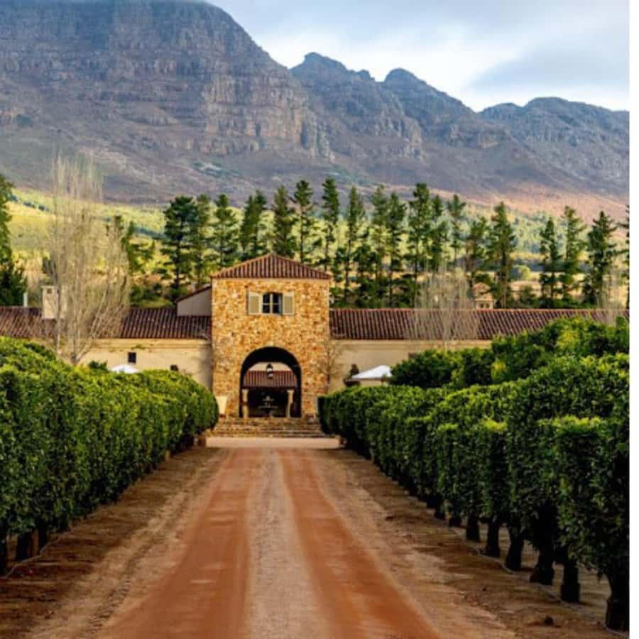 Cape Town: Private Wine Tour with Tastings and Lunch - The seven-hour structure: how it fits two wine towns