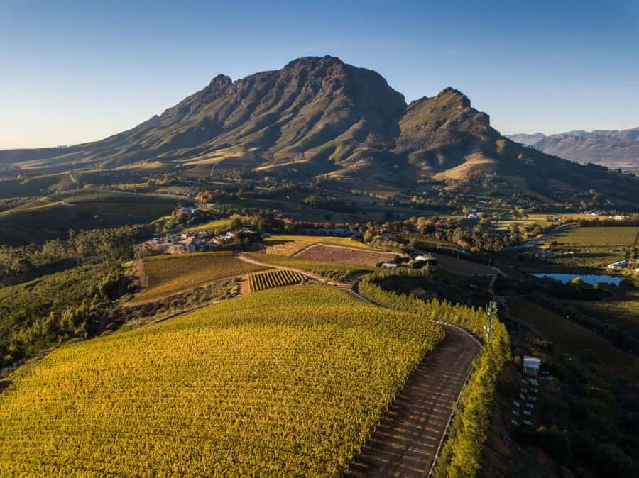 Cape Town: Private Wine Tour with Tastings and Lunch - Delaire Graff Estate: a second one-hour tasting with fresh comparisons
