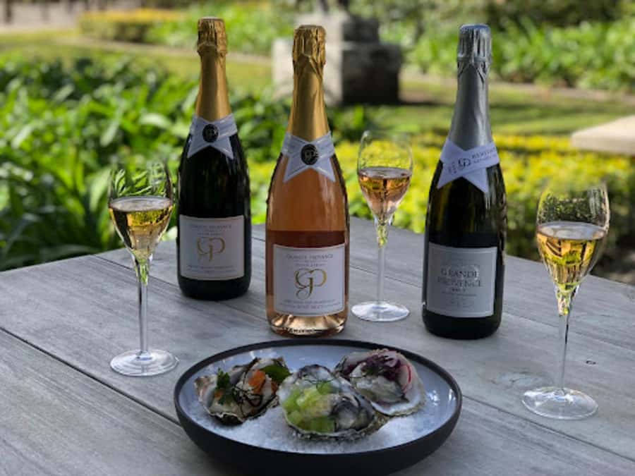 Cape Town: Private Wine Tour with Tastings and Lunch - Waterford Estate tasting: finishing with a focused one-hour session