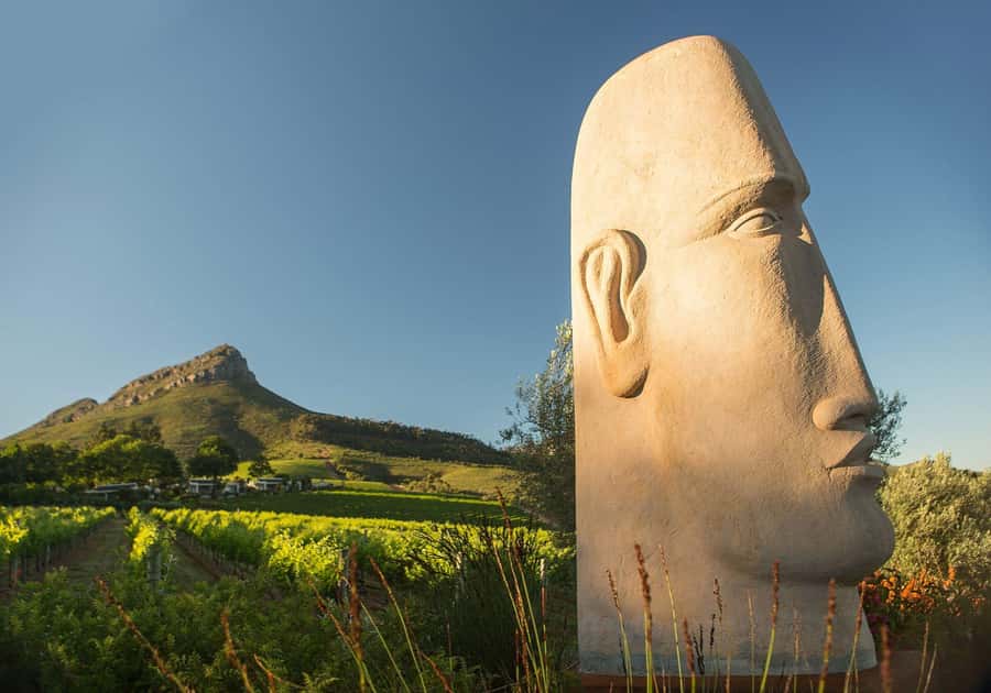 Cape Town: Private Wine Tour with Tastings and Lunch - Guide-led history and wine-making traditions, in plain English