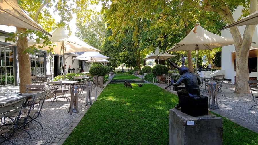 Cape Town: Private Wine Tour with Tastings and Lunch - What to pack and how to handle a bright, tasting-heavy day