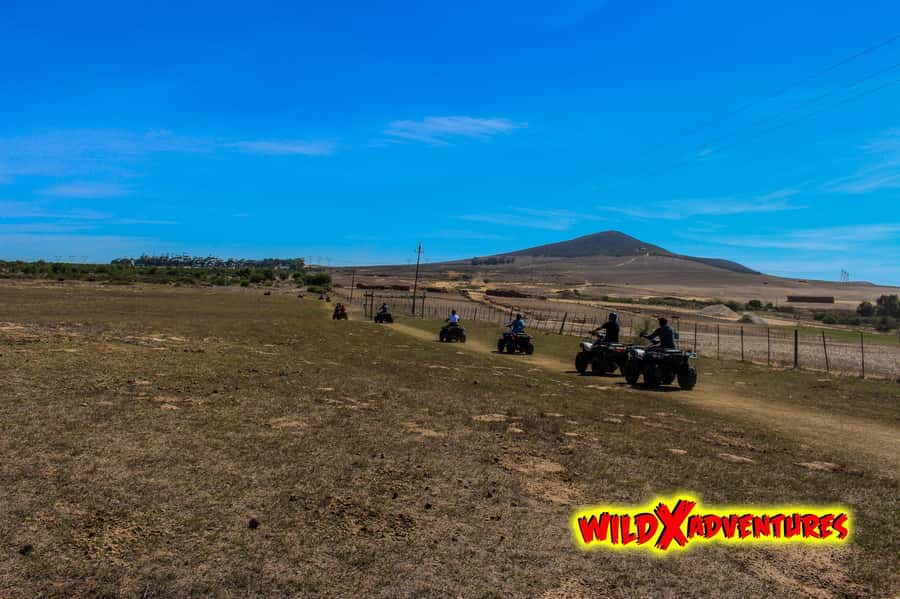 CAPE TOWN: QUAD BIKE FUN RIDE AT OSTRICH RANCH, DURBANVILLE - Key things you will notice on this quad bike ride