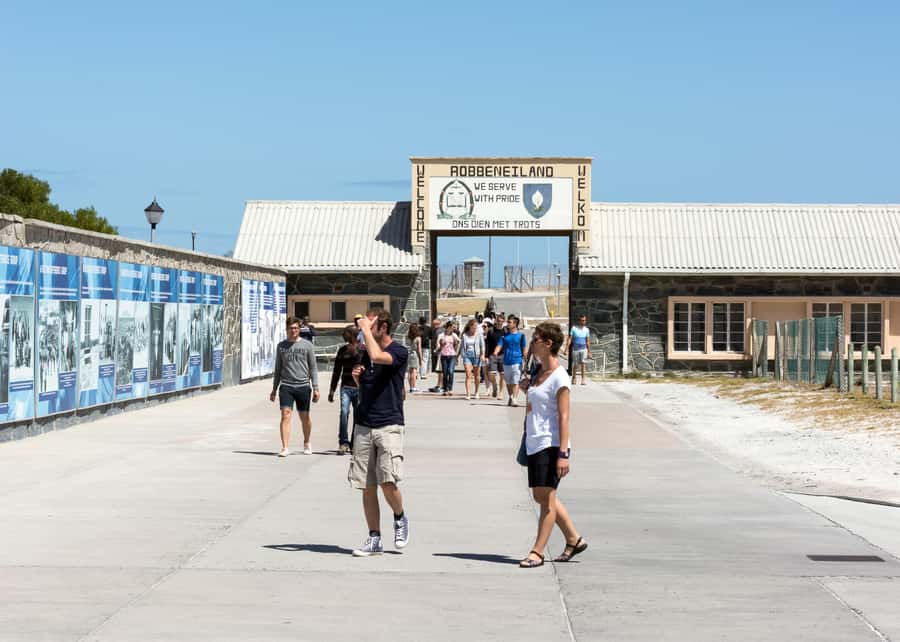 Cape Town: Robben Island Boat Trip & Museum Tour Ticket - The ferry ride from Nelson Mandela Gateway, what to expect and how to time it