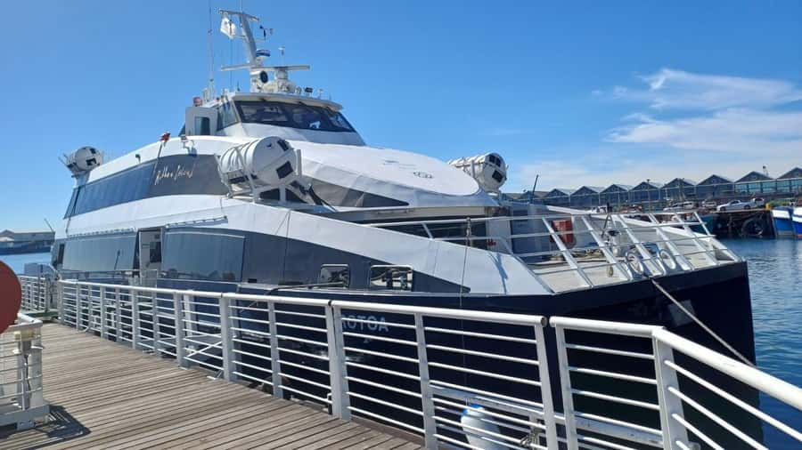 Cape Town: Robben Island, Cape of Good Hope and Penguin Tour - Key Points at a Glance