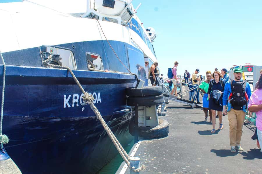 Cape Town: Robben Island ferry ticket plus Guided Tour - On-island route: leprosy graveyard, Lime Quarry, and Robert Sobukwe’s house
