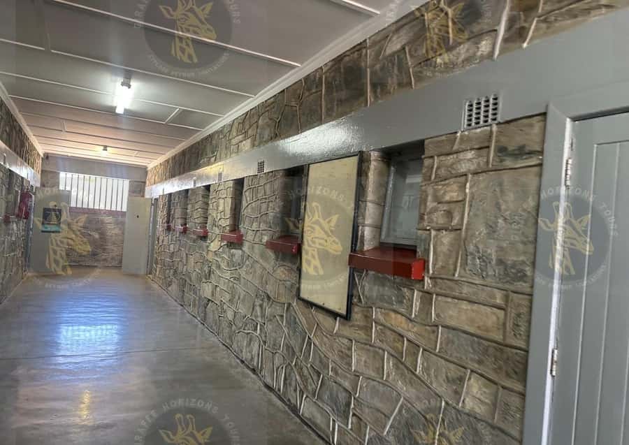 Cape Town: Robben Island Ferry with Prison Ticket and Tour - Getting to the V&A Waterfront and the Nelson Mandela Gateway ferry