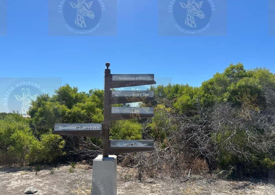 Cape Town: Robben Island Ferry with Prison Ticket and Tour - Museum exhibits and the extra context you might want more time for