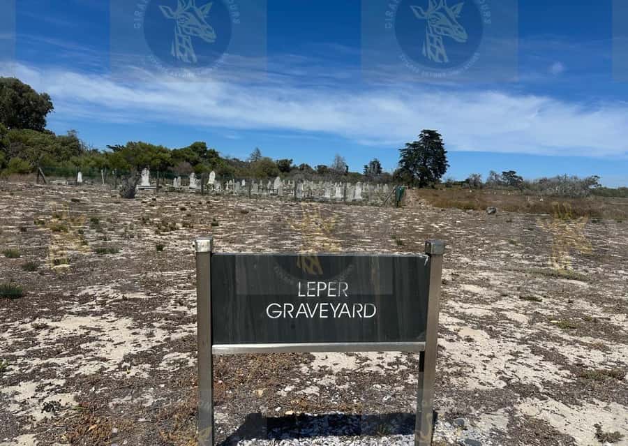 Cape Town: Robben Island Ferry with Prison Ticket and Tour - Priority ferry tickets, skip-the-line access, and what $90 really buys
