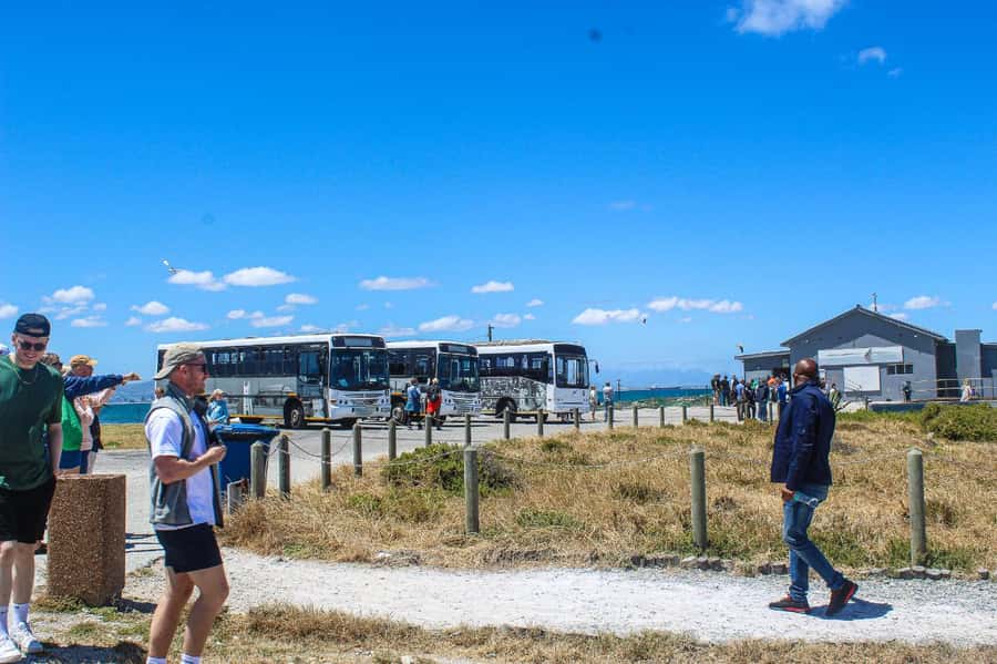 Cape Town:Robben Island Guided Tour, Skip the Ticketing Line - Price and value: is about $73 a good deal?