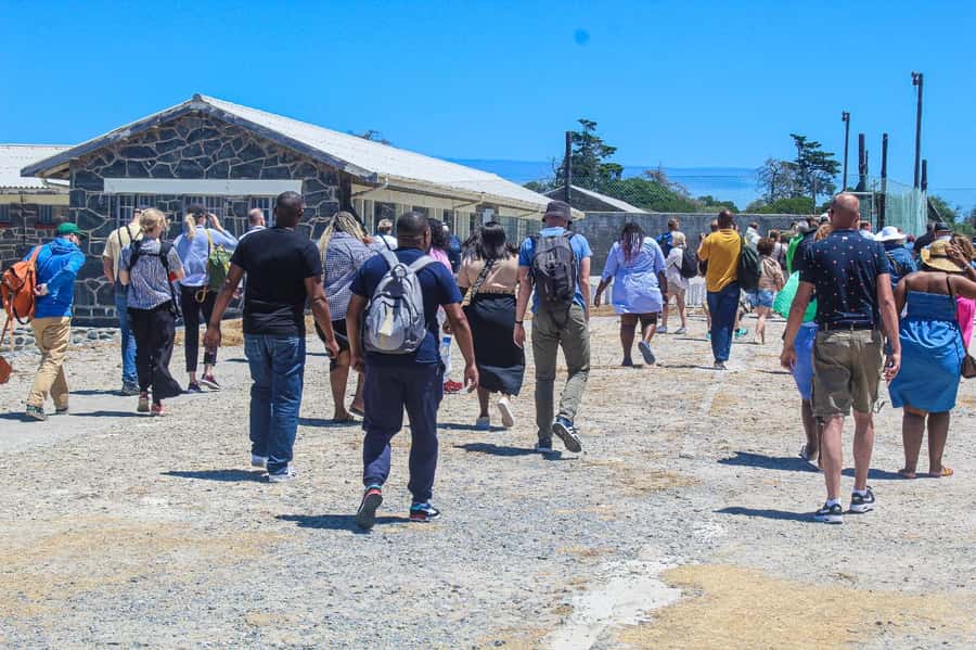Cape Town: Robben Island Guided Tour ticket & guided tour - The Ferry Experience: Views, Timing, and What the 30 Minutes Means