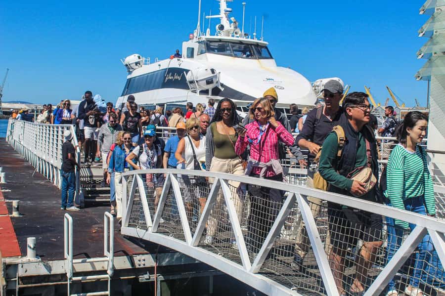 Cape Town: Robben Island Guided Tour ticket & guided tour - What to Bring and What You Need for Booking