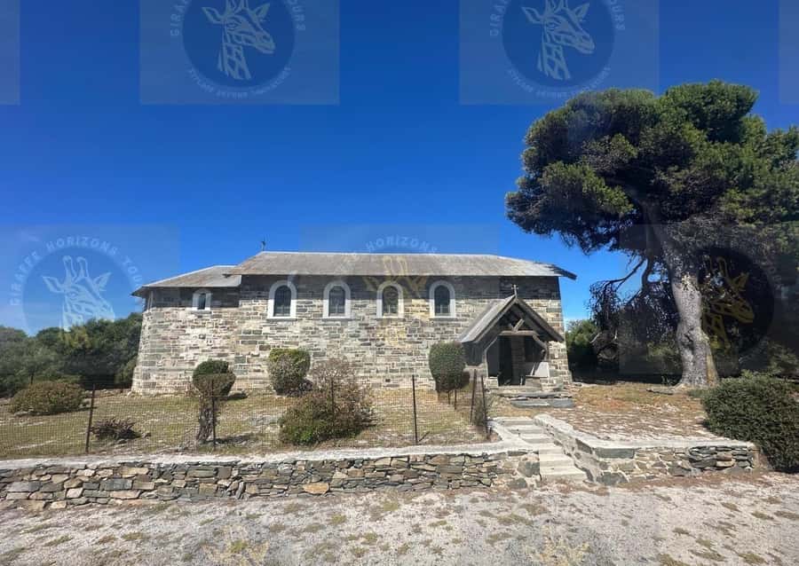 Cape Town: Robben Island Half-Day Tour w/ Pre-Booked Ticket - Timing, coach time, and the art of not feeling rushed