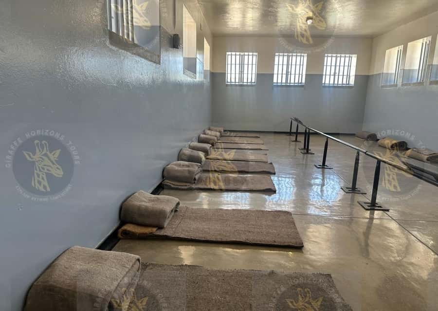 Cape Town: Robben Island Half-Day Tour w/ Pre-Booked Ticket - Should you book this half-day Robben Island tour?