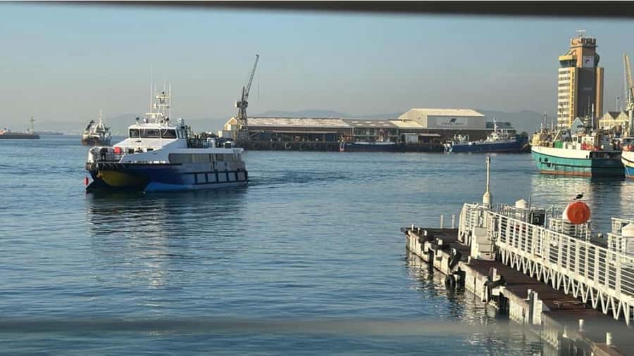 Cape Town: Robben Island Half-Day Tour with Entry Tickets - Who should book this Robben Island half-day tour